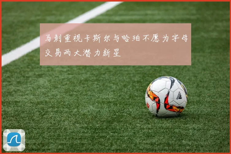 马刺重视卡斯尔与哈珀不愿为字母交易两大潜力新星