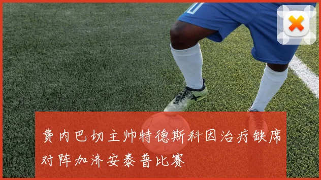 费内巴切主帅特德斯科因治疗缺席对阵加济安泰普比赛