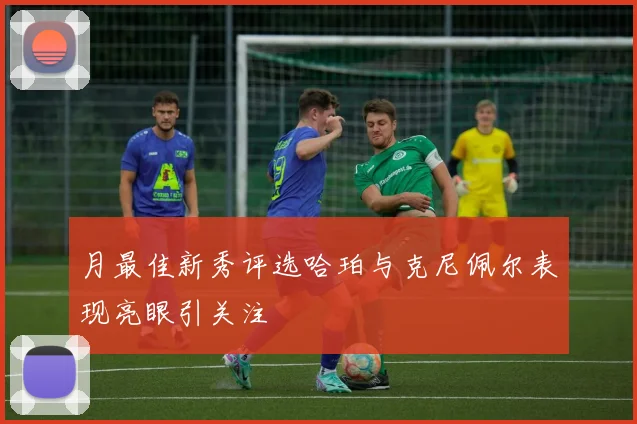 月最佳新秀评选哈珀与克尼佩尔表现亮眼引关注